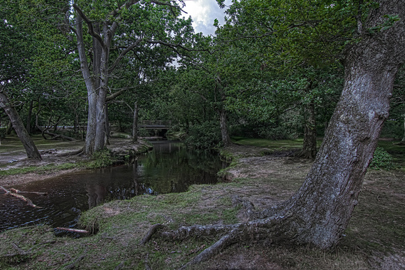 Puttles Bridge In The New Forest