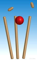 Cricket "Howzat"