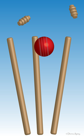 Cricket "Howzat"
